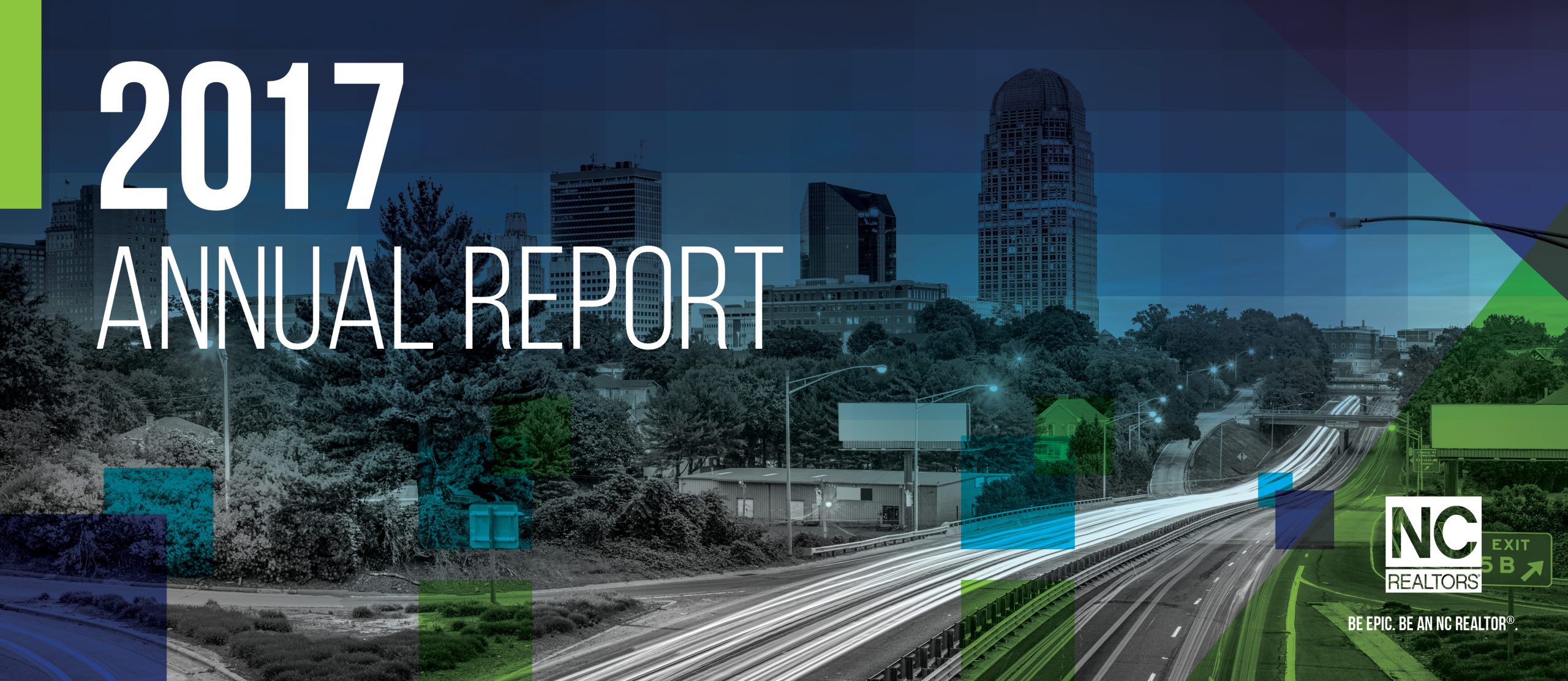 2017 Annual Report image