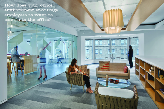 Open Office Environment